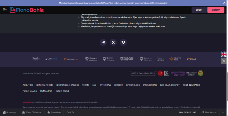 monobahis 121345 227